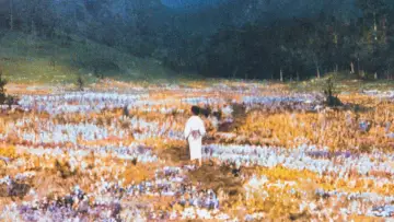 Backdrop to the movie "Dreams" #868981