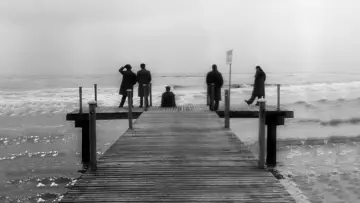 Backdrop to the movie "I Vitelloni" #985494