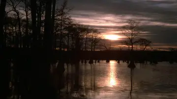 Backdrop to the movie "Southern Comfort" #1186104