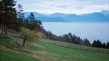 Backdrop to the movie "Autumn Sonata" #645076