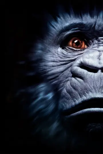 Poster to the movie "Congo" #856755