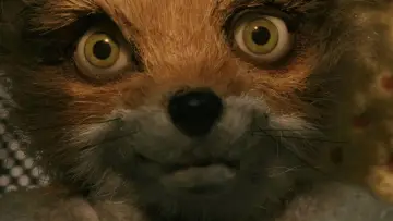 Backdrop to the movie "Fantastic Mr. Fox" #639937