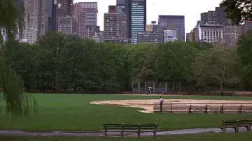 Backdrop to the movie "For Love of the Game" #1010521