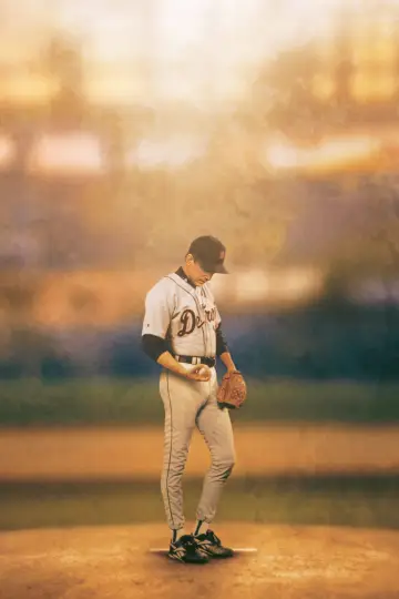 Poster to the movie "For Love of the Game" #1010534