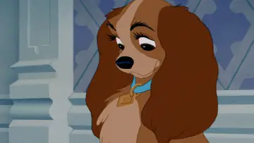 Backdrop to the movie "Lady and the Tramp" #629685