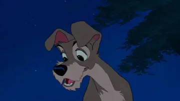 Backdrop to the movie "Lady and the Tramp" #629696