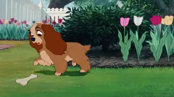 Backdrop to the movie "Lady and the Tramp" #807750