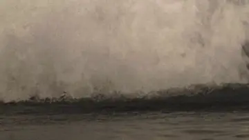 Backdrop to the movie "Moby Dick" #725696