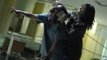 Backdrop to the movie "Diary of the Dead" #383212