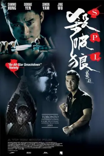 Poster to the movie "SPL: Kill Zone" #853669