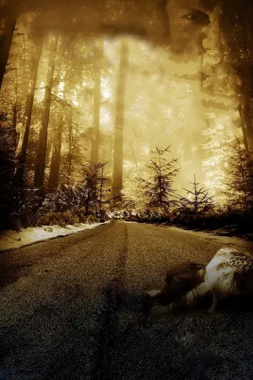 Poster to the movie "Wrong Turn 2: Dead End" #913057