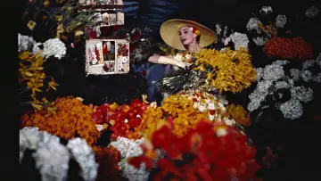 Backdrop to the movie "Funny Face" #711334