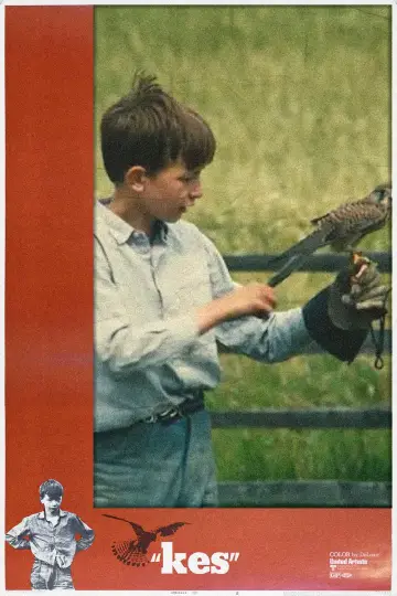 Poster to the movie "Kes" #1165547
