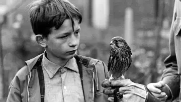 Backdrop to the movie "Kes" #1202245
