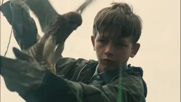Backdrop to the movie "Kes" #211580
