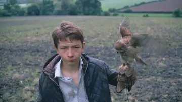 Backdrop to the movie "Kes" #986698