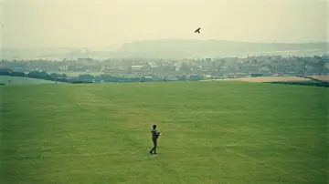 Backdrop to the movie "Kes" #986700