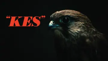 Backdrop to the movie "Kes" #986703