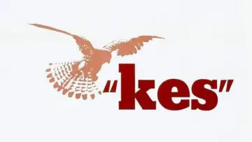 Backdrop to the movie "Kes" #986704