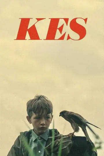 Poster to the movie "Kes" #986708
