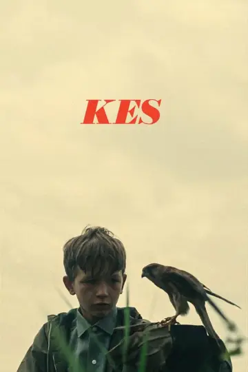 Poster to the movie "Kes" #986710