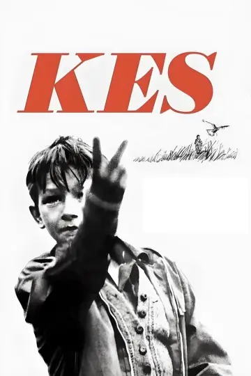 Poster to the movie "Kes" #986712