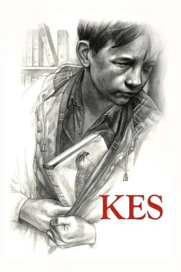 Poster to the movie "Kes" #986713