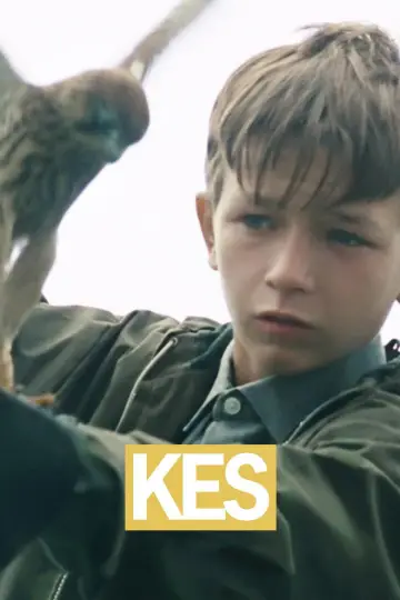 Poster to the movie "Kes" #986716