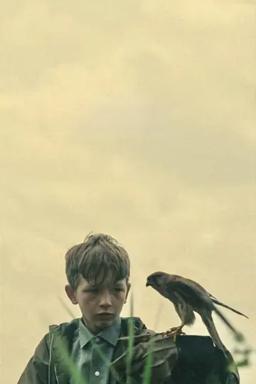 Poster to the movie "Kes" #986717