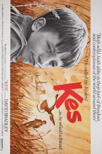 Poster to the movie "Kes" #986718