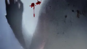 Backdrop to the movie "Let the Right One In" #209041