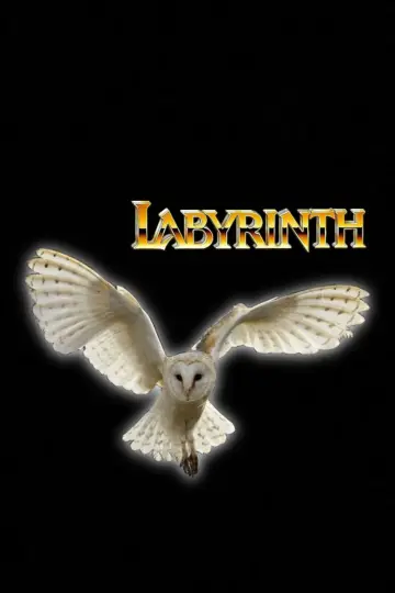 Poster to the movie "Labyrinth" #659173