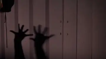 Backdrop to the movie "Sleepaway Camp" #1201597