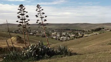 Backdrop to the movie "Breaker Morant" #1011056