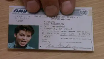 Backdrop to the movie "License to Drive" #998136