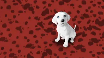 Backdrop to the movie "102 Dalmatians" #878995