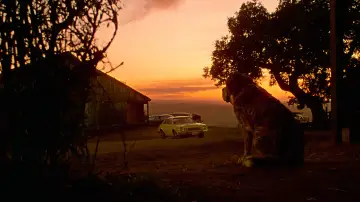 Backdrop to the movie "Cujo" #853727