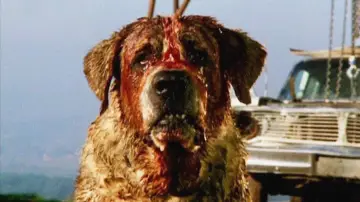 Backdrop to the movie "Cujo" #853729