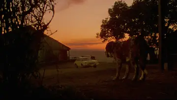 Backdrop to the movie "Cujo" #853733