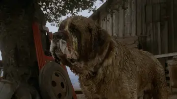 Backdrop to the movie "Cujo" #853734