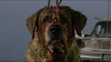 Backdrop to the movie "Cujo" #853735
