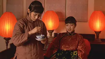 Backdrop to the movie "Raise the Red Lantern" #427663