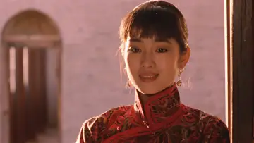 Backdrop to the movie "Raise the Red Lantern" #427664