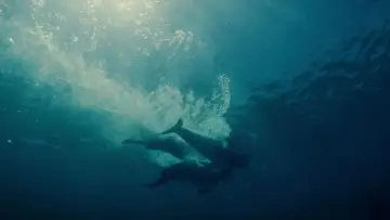 Backdrop to the movie "Aquamarine" #869234