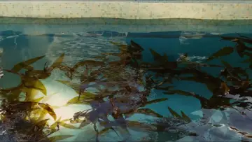 Backdrop to the movie "Aquamarine" #869294