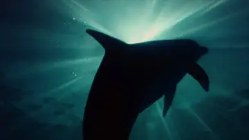 Backdrop to the movie "Aquamarine" #869311