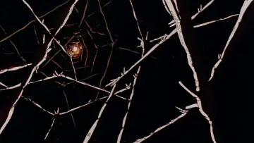Backdrop to the movie "Macross: Do You Remember Love?" #394806