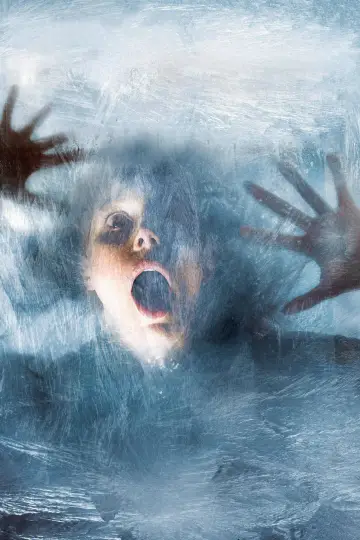 Poster to the movie "Wind Chill" #1017070