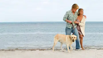 Backdrop to the movie "Marley & Me" #744226