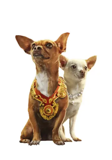 Poster to the movie "Beverly Hills Chihuahua" #923237
